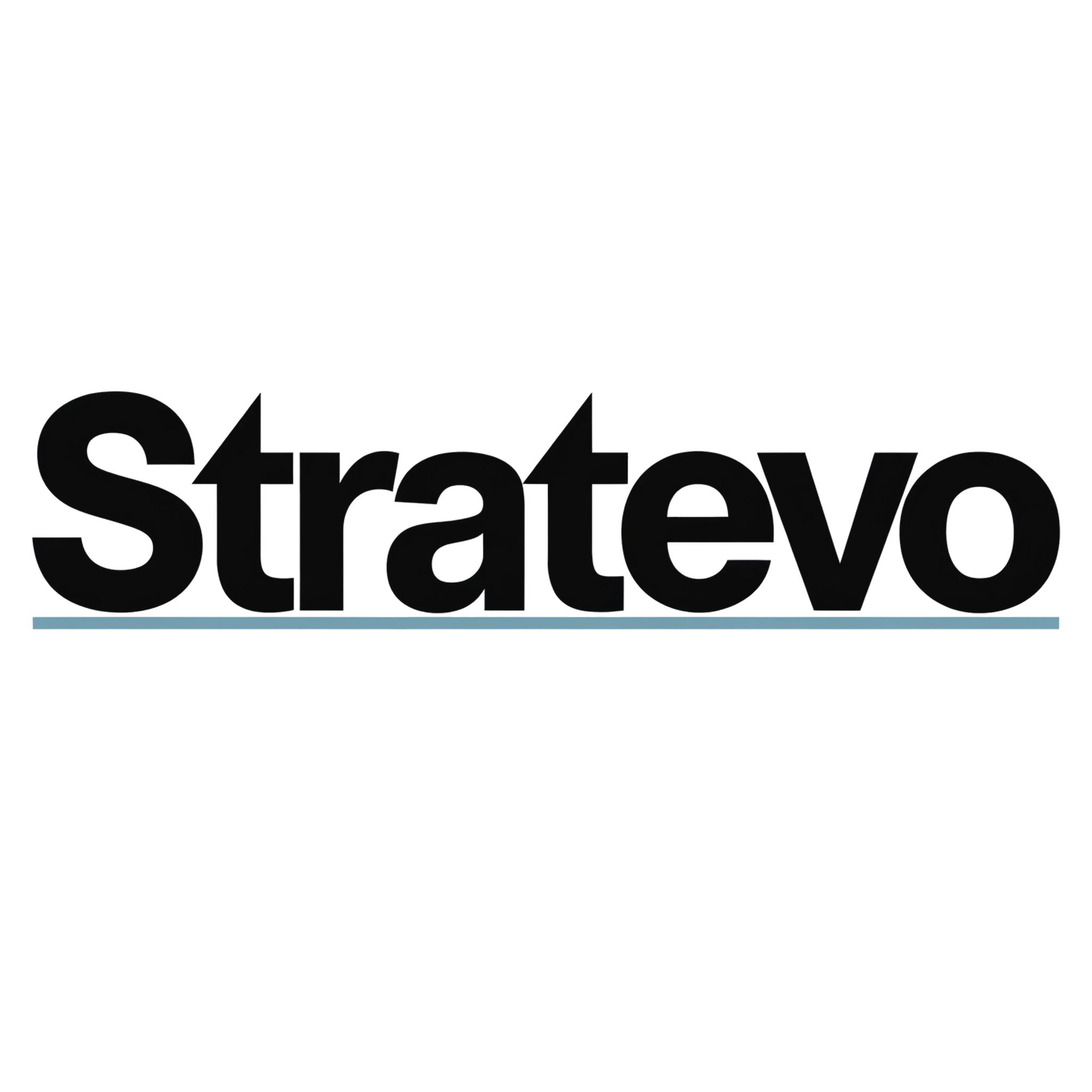 Stratevo yonetim danismanligi logosu